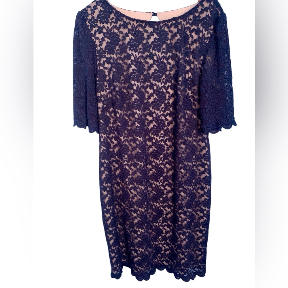 Dressbarn Collection Blue 3/4 Flutter Sleeve Lace Illusion Dress Size 16